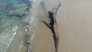 Cape Tribulation & Myall Beach