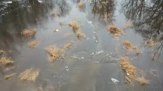 February 2018 Flood