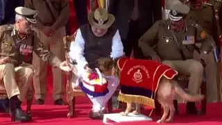 BSF Dog Welcomes Amit Shah With Flowers, Seeks Blessings ; Watch Till End For Swachch Bharat Dogs