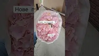 ⓿❾❸.❷❽❼.❷❽❷❽ Квіти найкращої якості з усього світу оптом Київ