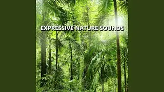 Dynamic Outdoor Nature Recording