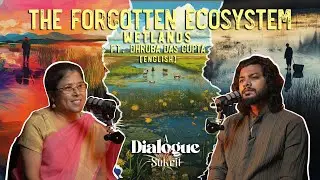 The Forgotten Ecosystem | Why Wetlands Are Crucial for Our Future