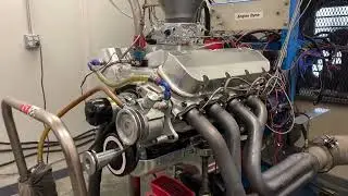 Todd Wise 572 Skip White Performance