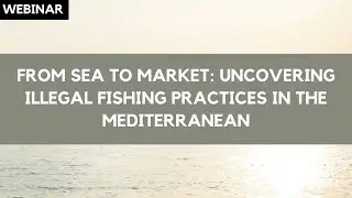 From Sea to Market: Uncovering Illegal Fishing Practices in the Mediterranean