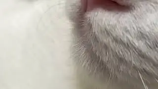 فداش بشم منهه...