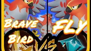 Talonflame Apex Jungle Hyper Carry Mirror Match