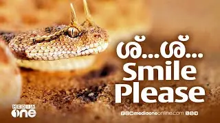 UAE യിൽ പാമ്പുകൾക്ക് പിന്നാലെ 3 മലയാളികൾ.. | UAE Malayali Snake Photographer | MediaOne Destinations