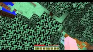 Minecraft | Mega Taiga Biome Seed (1.8.8)