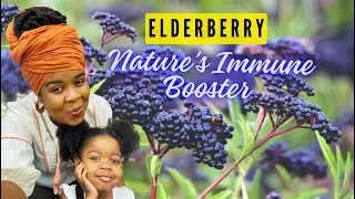 ELDERBERRY Amazing Health Benefits Natural Immune Booster Rids Cold & Flu | Proven Benefits