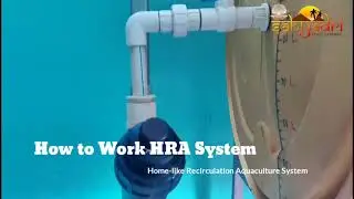 WHAT IS HRAS SYSTEM & ITS BENIFTS !!! #HRAS #PEARL #FARMING