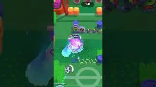 primo!!