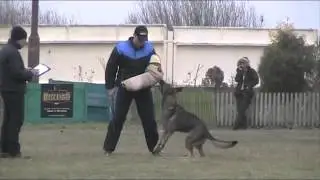 Efim iz Kolizeya. 