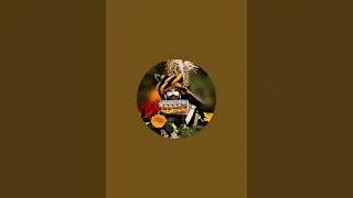 BABA KI LADLI is live