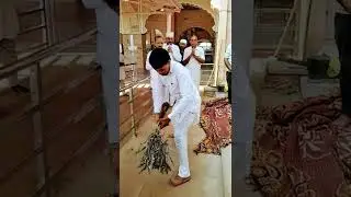 Baba Sabal Singh ki sawari