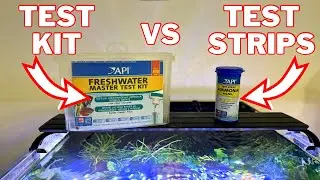 Aquarium Water Tests! Strips Vs Master Kit | What&rsquo;s Best For You?