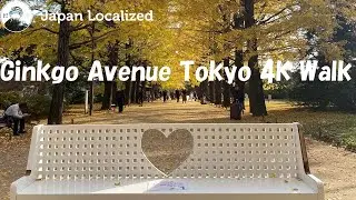 Ginkgo Tree Avenue Walk Tokyo | 4K Video | What to do in Tokyo