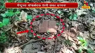 Forest Night Watcher Electrocuted After Coming In Contact With Live Wire Trap In Nayagarh