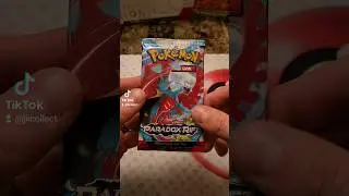 Pack 3 from the Roaring Moon ex box! #PokemonCards #PokemonTCG #RoaringMoon #Pokemon #JKCollect