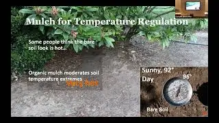 Mulch Matters by Signe Danler,  OSU Extension and Benton County Master Gardener