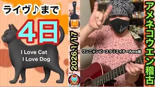 🐈‍⬛ 今春 タワーレコード【 まねきねこ / ダッキー 】💿CD発売😻次回の Ame猫ライヴ♪ は 2026.1/20 Tue ⏰.19:10〜30分⏰ 東京自由が丘グランチェルト…待ってるニャン😻