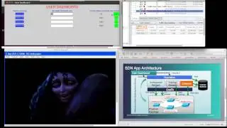 SPAG OnePK Hackathon Demo