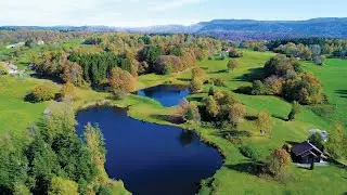 Le meilleur des Vosges du Sud 🧡