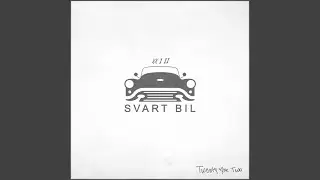 Svart Bil