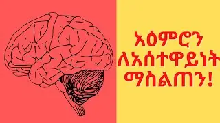 #Ethiopia:ፈጣን እና አስተዋይ አዕምሮን እንዴት መላበስ እንችላለን/# Amharic motivation #Ethiopian motivation/by zinabu G