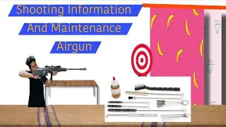 Airgun Shooting Full Information basic information Air gun Maintenance every pellet fire after .22 