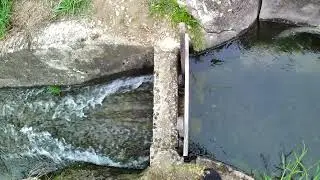 Paratoie nella roggia - Castano Primo 2