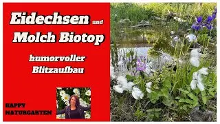 Molch-Luxusquartier im Naturgarten:  Biotop bauen ganz easy! #molche