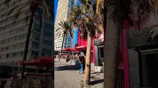 Benidorm January 2026 Levante Playa #spain #costablanca #benidorm