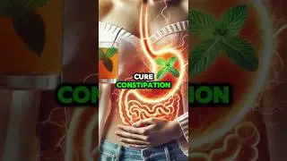 Top 10 Drinks to Cure Constipation FAST & Naturally 🍵 #constipationrelief  #healthydigestion