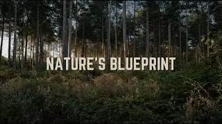Nature's Blueprint | Crowdfunding Video