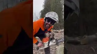 Как сохранить бензопилу острой?