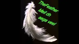 TheFeather-Meil on aega veel.