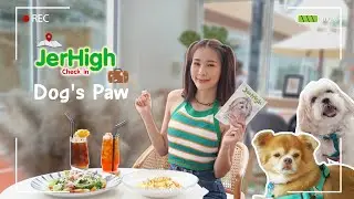 Jerhigh Check-in | Dog's Paw : Dog Lover Community