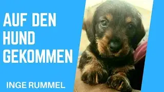 Hundelied! Auf den Hund gekommen. Der Hundesong.Lied &uuml;ber Hunde. (Eigener Song &copy;) wau wau