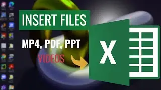 How to Insert Files  | MP4 PDF PPT Word Document | YouTube Video in Excel