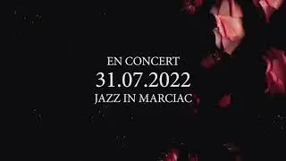 SYNESTET R&ocirc;les // Teaser