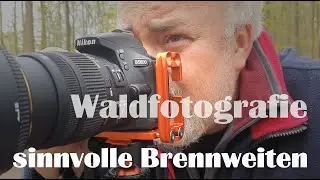 Landschaftsfotografie | Waldfotografie - sinnvolle Brennweiten