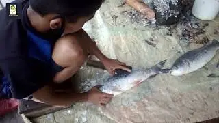 Rui Fish cutting skills and best fastest fish slicing.