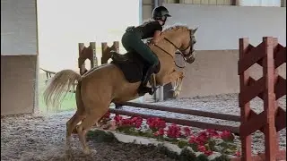 &ldquo;Lincoln&rdquo; jumping course at home 8/30/25