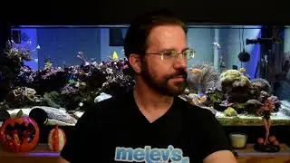 Let's talk about Refugiums