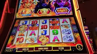 Вы бы видели моё лицо на коллекции золотых монет Buffalo Gold Cash! #казино #слот #подписка