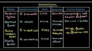 Rickettsial disease