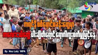ကရင်နီစစ်ရှောင်စခန်းတွေမှာ ကလေးငယ်တွေ ပါးချိတ်ရောင်ရောဂါကူးစက်မှုမြင့်နေ