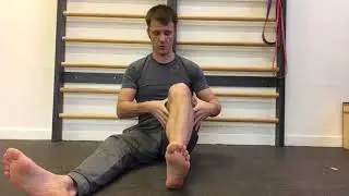 knee CARs