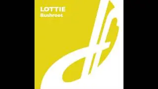 Lottie - Bushroot (Mr G's Gone Deep Dub)