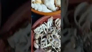 Sea wealth
